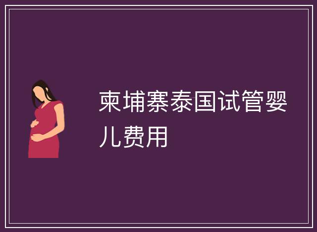 柬埔寨泰國(guó)試管嬰兒費(fèi)用