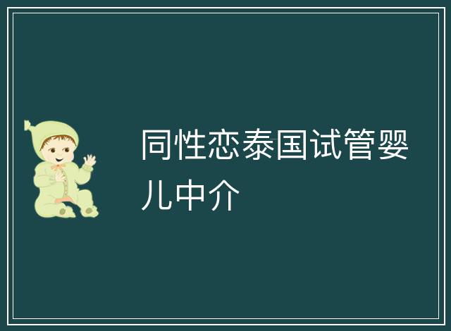 同性戀泰國試管嬰兒中介