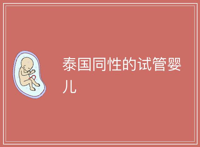 泰國同性的試管嬰兒