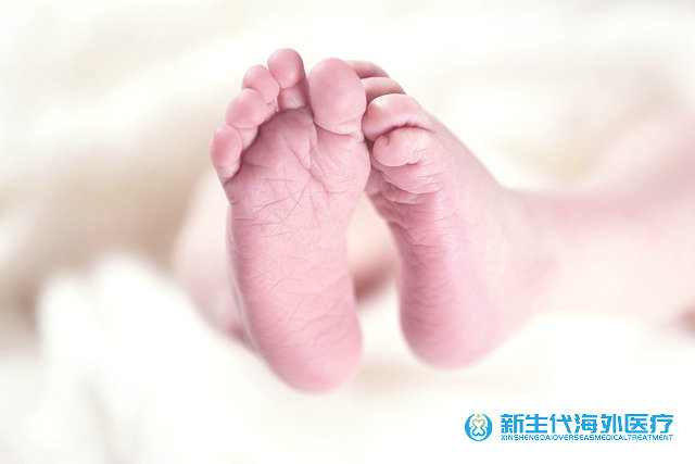云南有到泰國(guó)試管的中介嗎