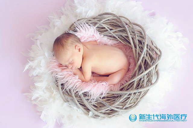 泰國子宮腺肌試管聯系電話