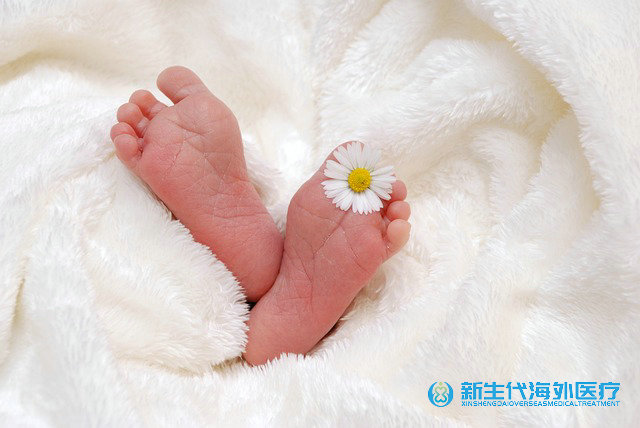 有明星去泰國做試管嗎
