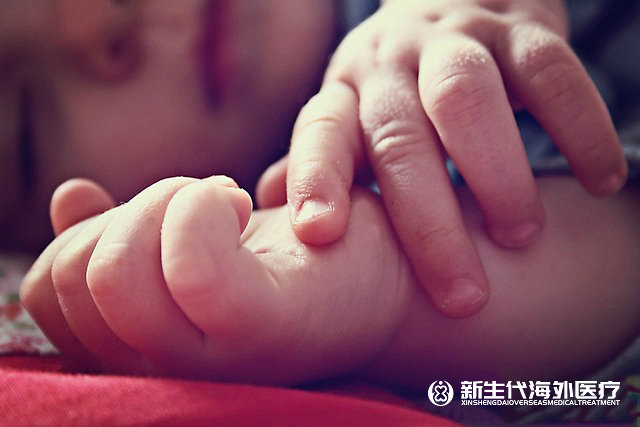 泰國試管正規中介機構排名榜
