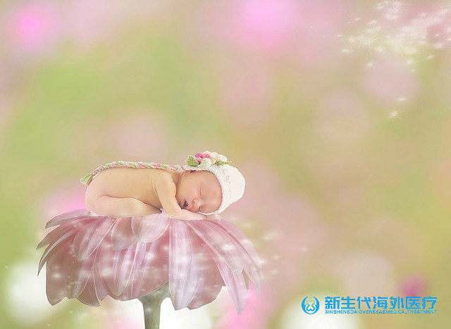 泰國大概需要花費多少可以做第三代試管嬰兒