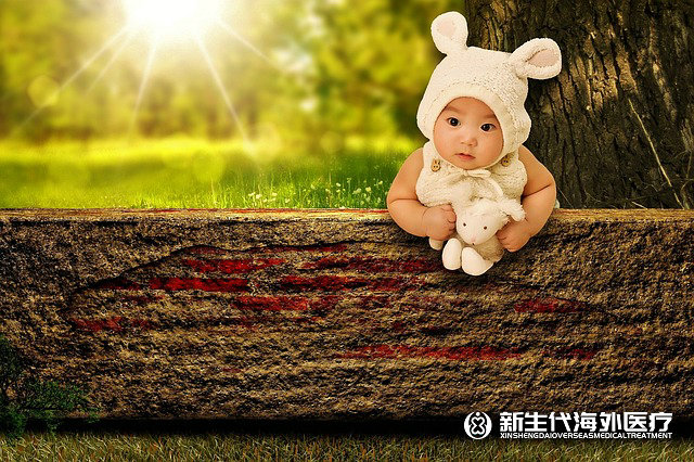 馬來西亞試管好還是泰國好