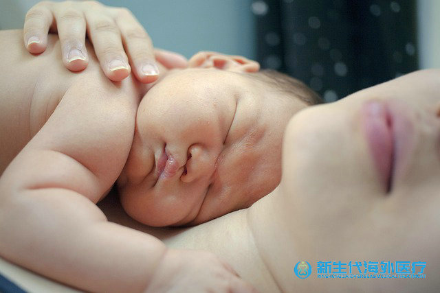 同性戀泰國試管嬰兒中介