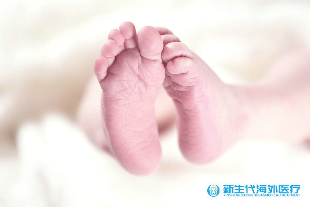 染色體泰國三代試管嬰兒 染色體泰國三代試管嬰兒
