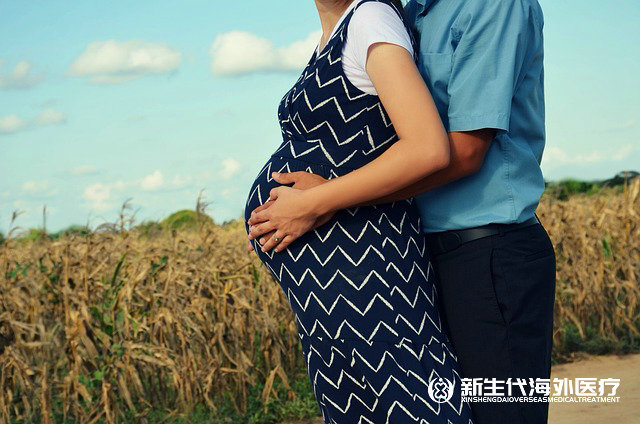 泰國子宮肌瘤試管嬰兒凍胎的解凍費用