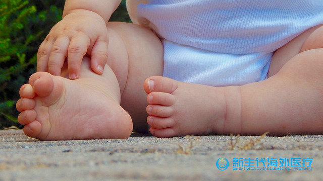 泰國三代試管流程及費用