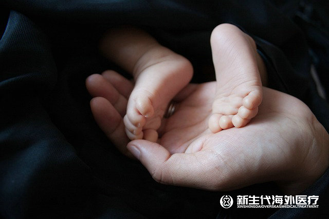 泰國試管嬰兒和中國區(qū)別