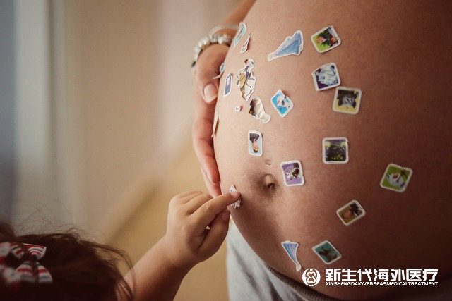 泰國試管16個卵泡