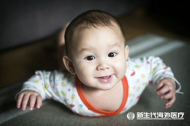 泰國做試管一共需要多少錢