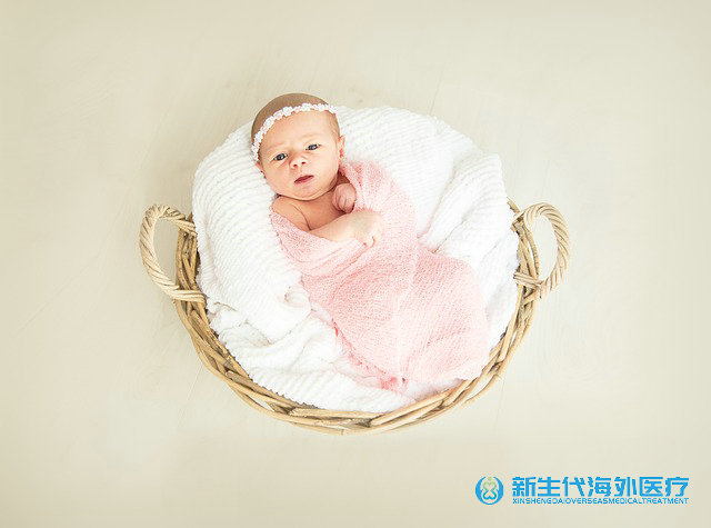 泰國做試管多少錢是什么
