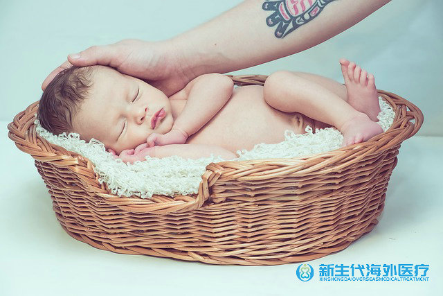 泰國(guó)試管排卵期多久取卵 泰國(guó)試管排卵期多久取卵