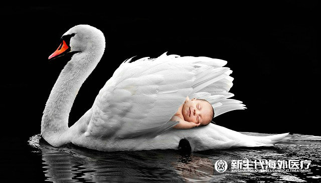 泰國第三代試管詳細流程