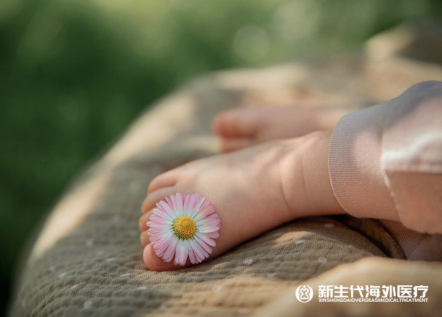 泰國輸卵管粘連試管助孕著床