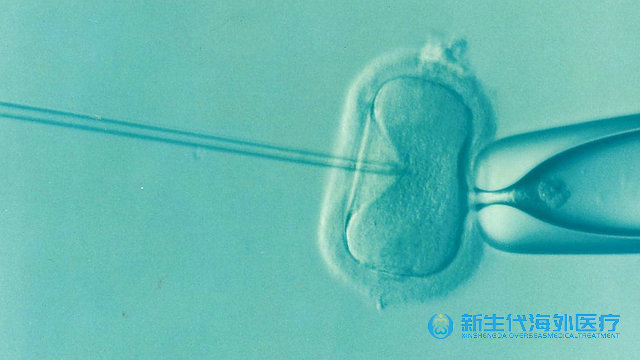 泰國什么人不能做卵泡小試管嬰兒